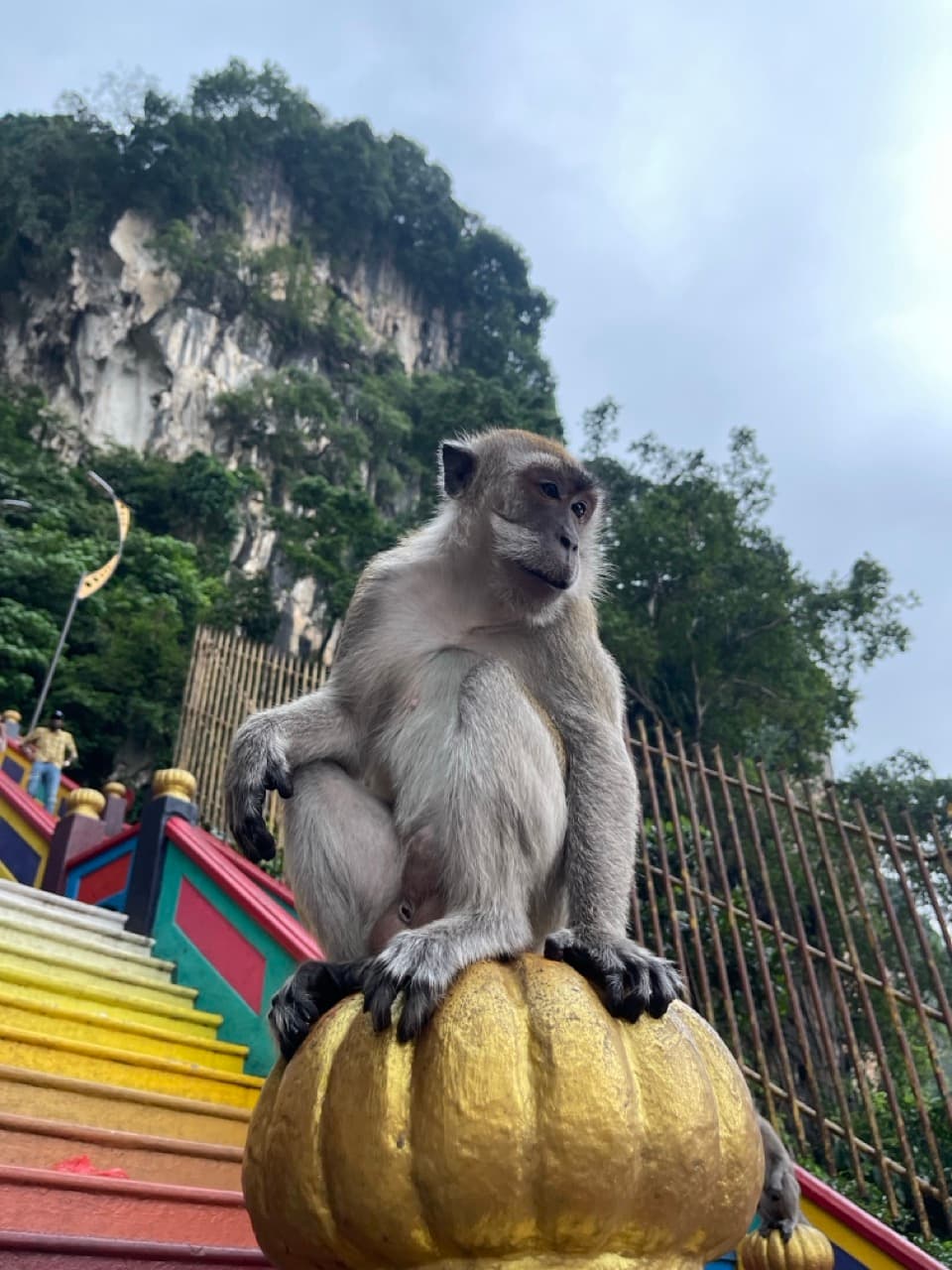 From the American Dream to the Malaysian Surprise